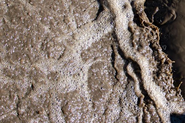 Sludge Blanket