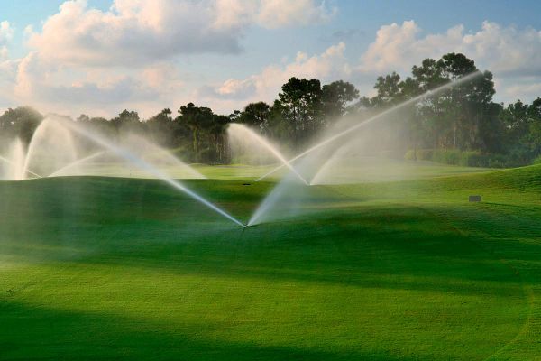 Grounds Management