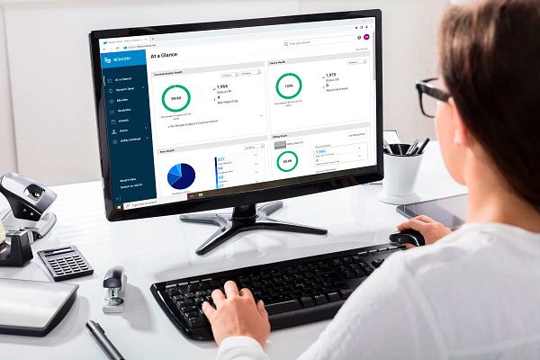 Software as a Service (SaaS)