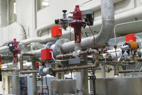 Valves Family Photo