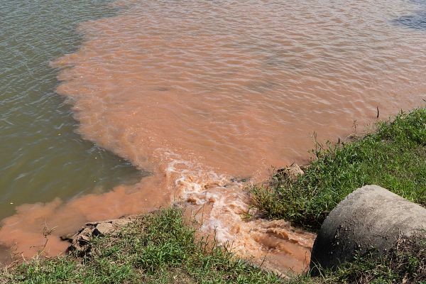 Turbidity